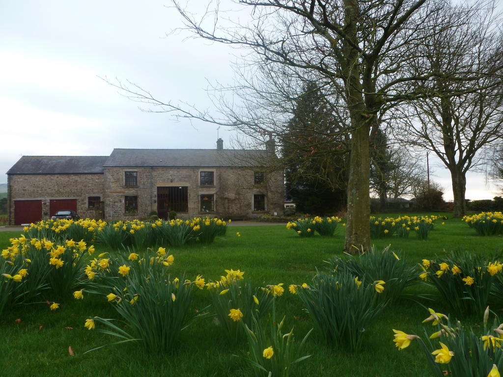 Bed & Breakfast Bank 4*